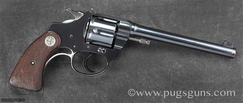 Colt Police Positive