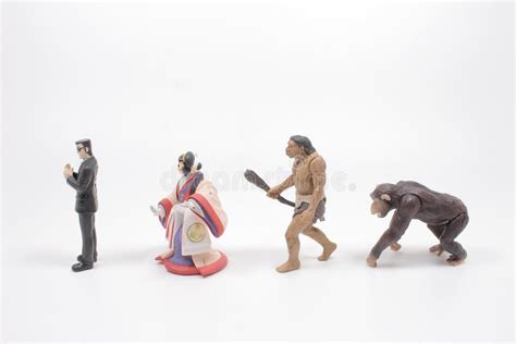 Human Evolution Scale 的图像结果