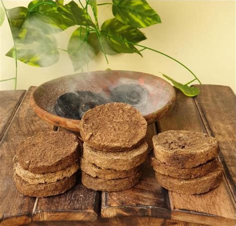 Urmmi Store Handmade Gobar Upla Pack of 21– 13cm Round Cow Dung for ...