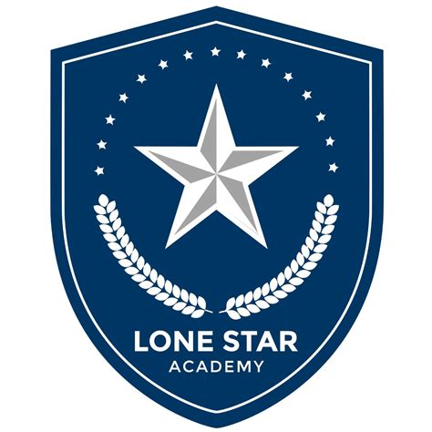 Lone Star Academy, Business Analytics Course Institute in Delhi. Delhi ...