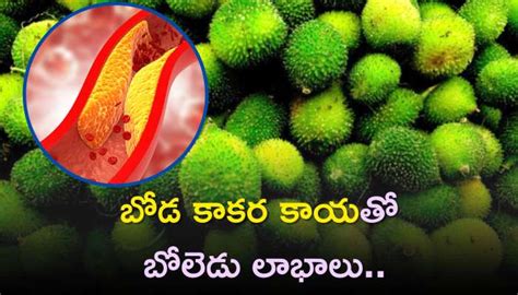 boda kakarakaya health benefits | Zee News Telugu