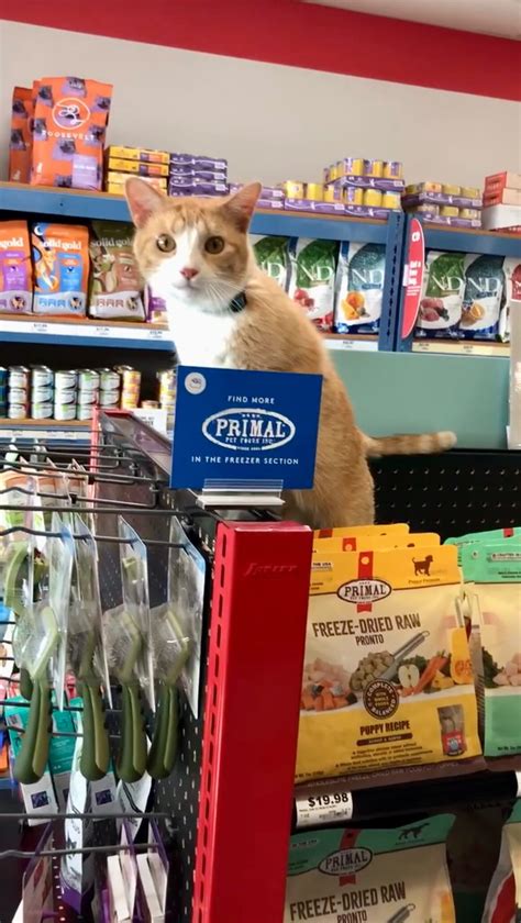 Chuck & Don's (@chuck_and_dons) • Instagram photos and videos