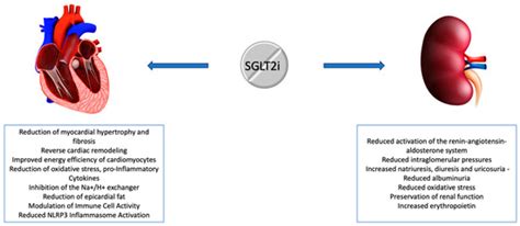Kidney and Dialysis | An Open Access Journal from MDPI