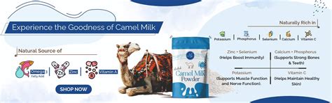 Buy Camel Milk: Pure & Natural Source of Nutrition - Aadvik Foods