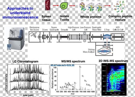 Image result for Orbitrap Block Diagram