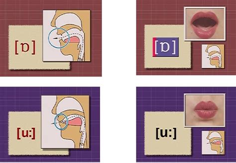 这个暑期教你如何学音标：元音、辅音的分类_南京学而思爱智康