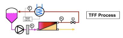 Image result for TFF Process