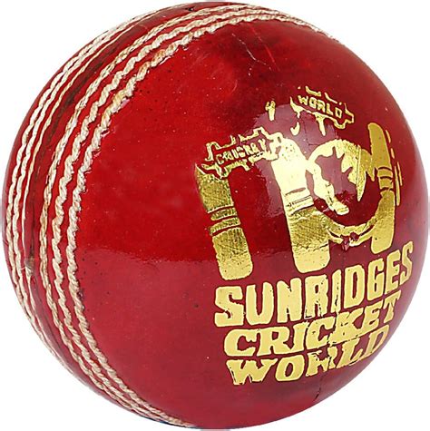 SS CR World Cricket Ball (4-Piece), Red_SS105R : Amazon.in: Sports ...