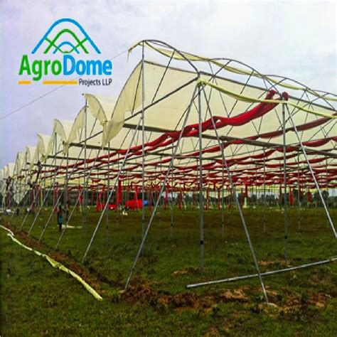 Greenhouse Structure - Nursery Poly House Manufacturer from Gandhinagar