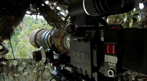 Red Camera 的图像结果