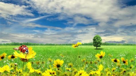 Image result for Looped Video Backgrounds