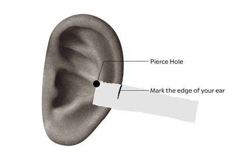 Image result for Piercing Guide Plate