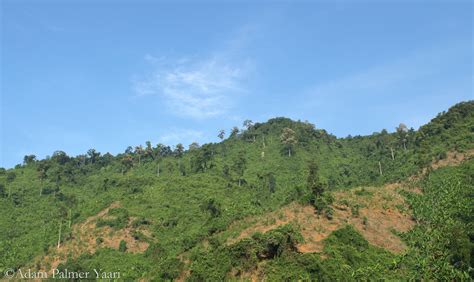 Hamburger Hill tour Ashau valley with 101st ex-soldier Adam Palmer Yaari