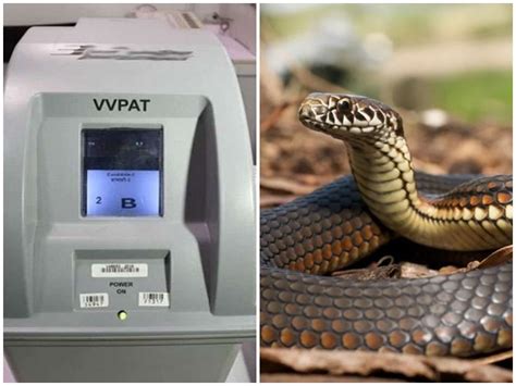 केरल के कन्नूर में वोटिंग के दौरान VVPAT मशीन से निकला सांप, मचा हड़कंप