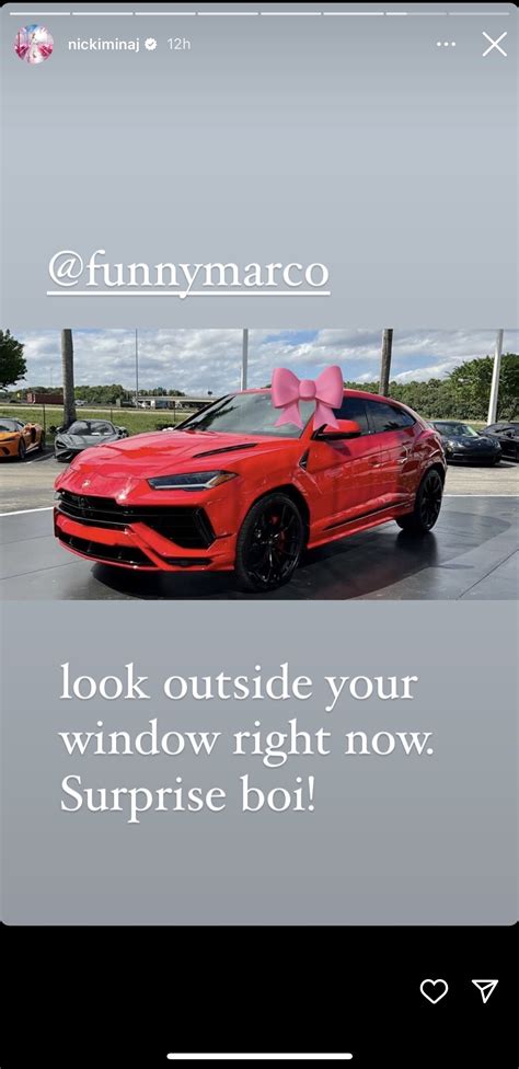 Nicki Minaj Cheetah Lamborghini 7 Celebrity Cars With The Most