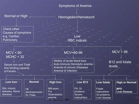 2 classification of anemia | PPT