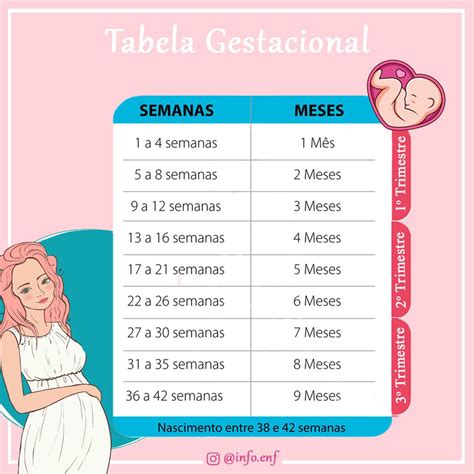 Tabela De Idade Gestacional Semanas X Meses Maternida - vrogue.co