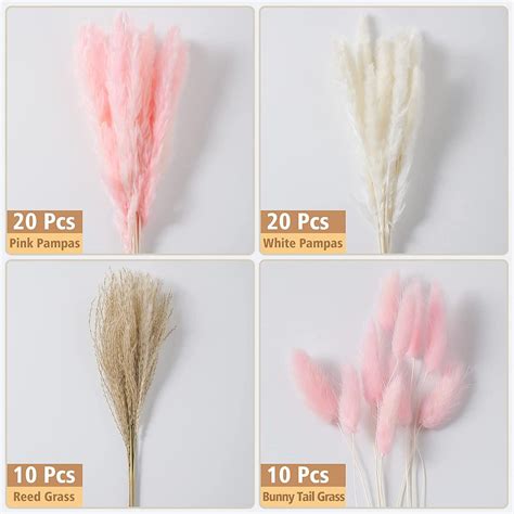 Buy 60 Pcs Dried Pampas Grass, Pink Pampas Grass, White Pampas Grass ...