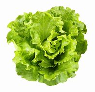 Lettuce 的图像结果