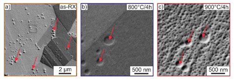 Enhancing the High-Temperature Strength of a Co-Base Superalloy by ...