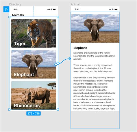Figma Animation Examples 的图像结果