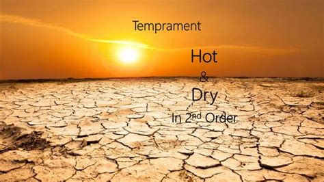 Image result for Curcuma Side Effects