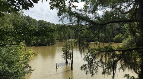 MY RV PARK SELMA - Campground Reviews & Photos - Tripadvisor