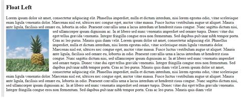 Image result for Float Left CSS