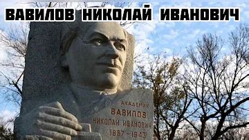 Что открыл Н И Вавилов? Ответов на вопрос: 24