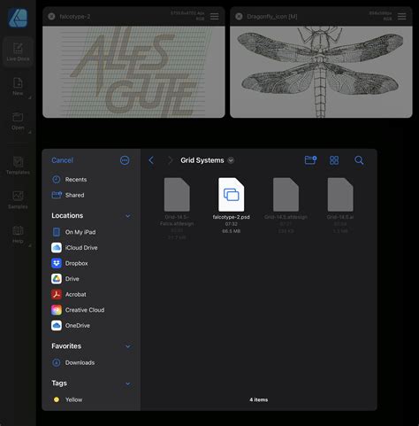 Unable to open .afdesign files with Designer 2.1.0 on iPad - V2 Bugs ...