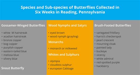 Paragraphs 9-10 — lesson. English Language CBSE, Class 10.
