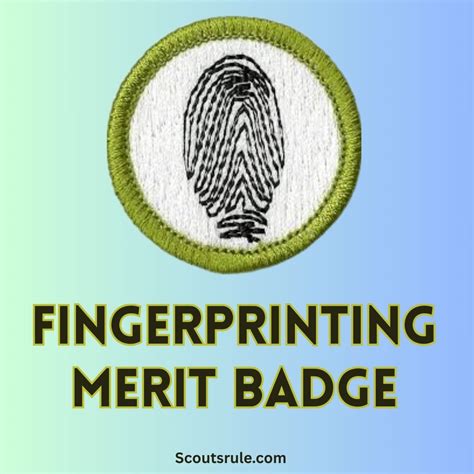Sustainability Merit Badge Guide - Scouts Rule