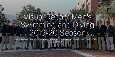 Florida Gators Swimming 的图像结果