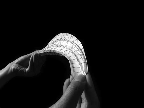 Image result for Shell Lace Structure