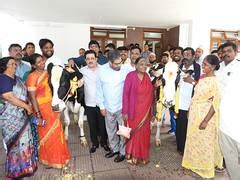 Karnataka Minister Zameer Khan gifts three cows to family whose animals ...