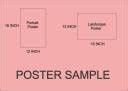Animals Name Chart Poster with Gloss Lamination Paper Print - Children ...