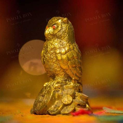 Buy Feng Shui Coin Owl Showpiece Online in India - Mypoojabox.in