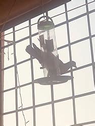 Amijivdaya Large Bird Feeder with Holding Handle (Pack of 1) : Amazon ...
