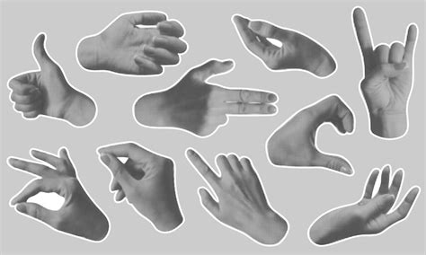 Page 2 | Hand asset Vectors - Download Free High-Quality Vectors from ...