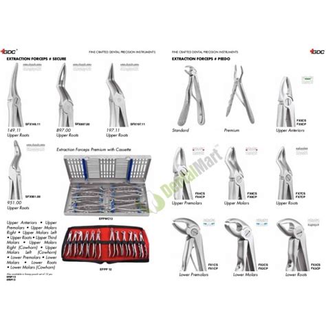 Forceps GDC Standard - Dentalmart