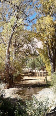 Elki Magic (Vicuna) - 2022 What to Know Before You Go (with Photos ...