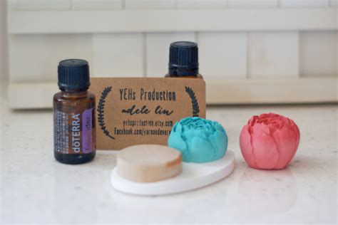 Image result for Desktop Diffuser How to Use