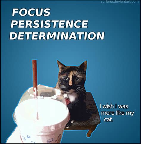 Cat Motivational Poster by surlana on DeviantArt
