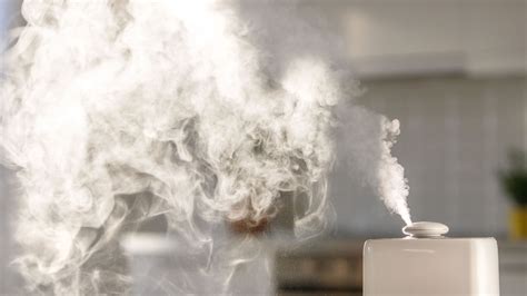 How to Use Humidifiers for Home 的图像结果