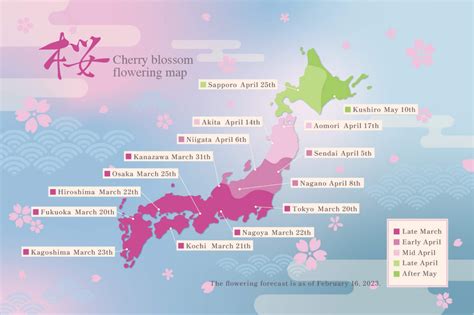 Map Of Japan Cherry Blossoms