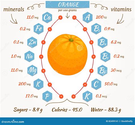 Calories Of Oranges at Beulah Insley blog
