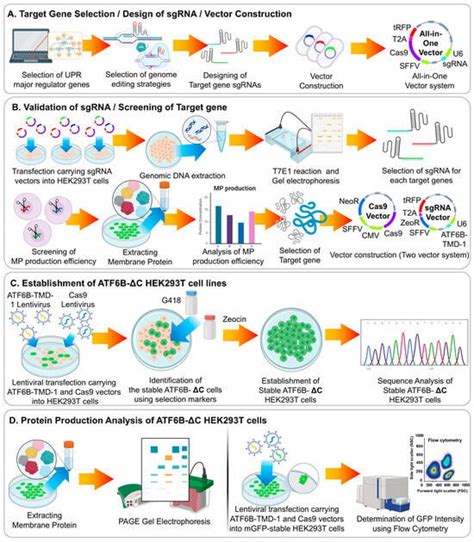 Bioengineering | An Open Access Journal from MDPI