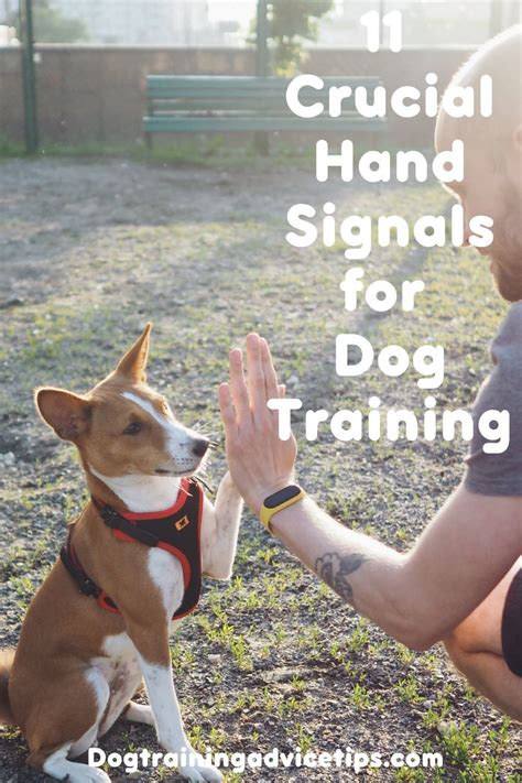 Image result for Hand Signs for Dogs