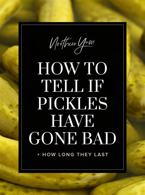 Do Pickles Go Bad? (Yes! Here Are All the Juicy Details.)