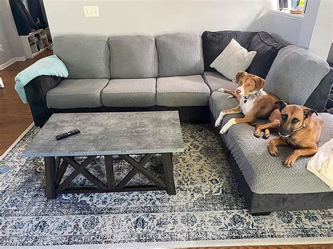 Best dog couch online